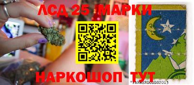 дмт Славгород