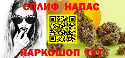 дмт Славгород