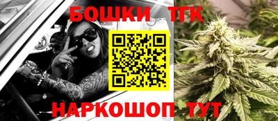 дмт Славгород
