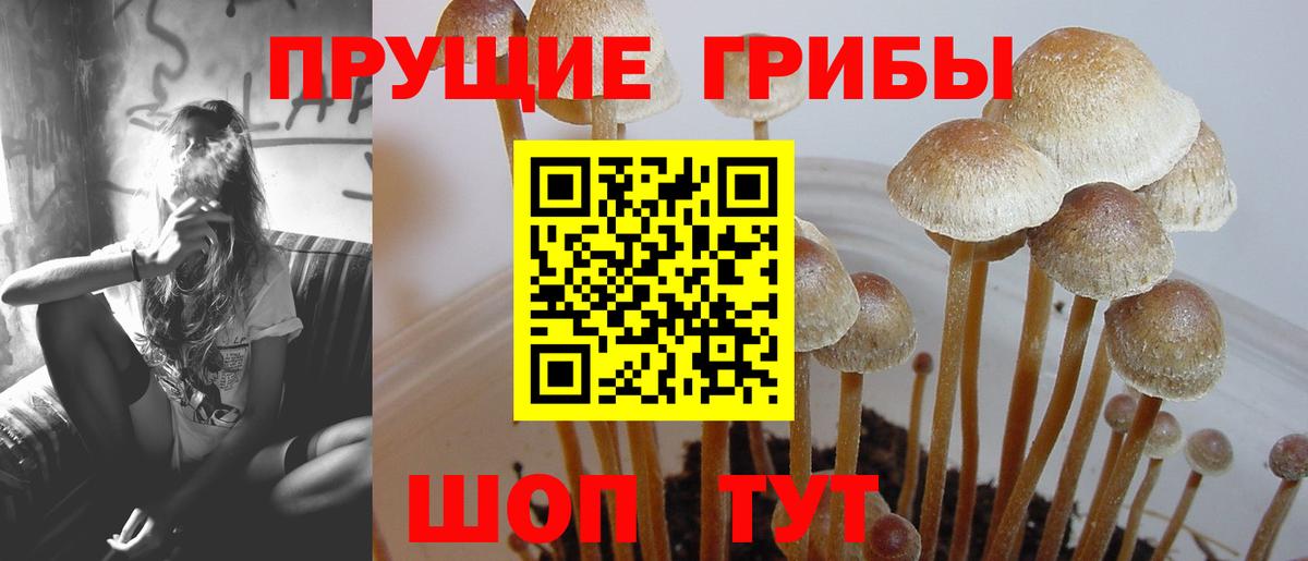 Псилоцибиновые грибы MAGIC MUSHROOMS Соль-Илецк